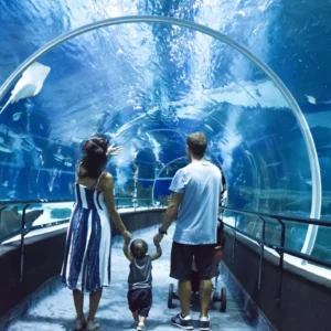 AquaRio: Ingresso Oficial do Aquario Marinho do Rio