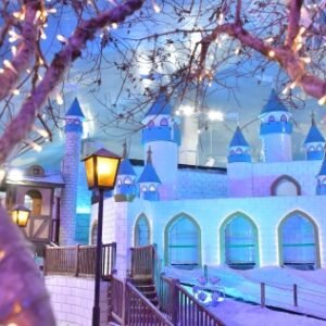 Snowland Gramado: Ingresso Oficial